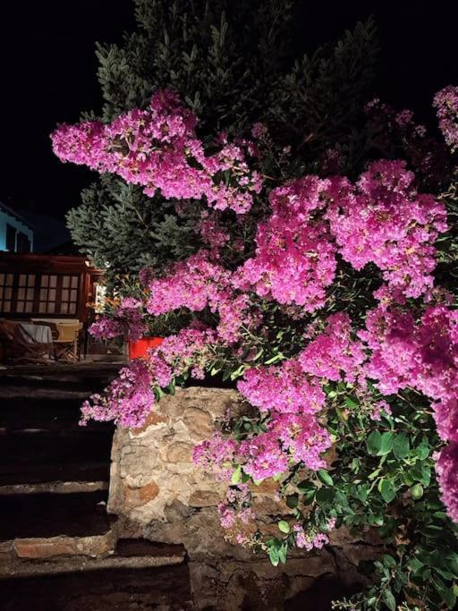 Panthea Cottage Stavroupoli Luaran gambar