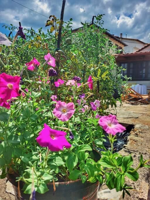 Panthea Cottage Stavroupoli Luaran gambar