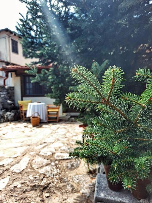 Panthea Cottage Stavroupoli Luaran gambar